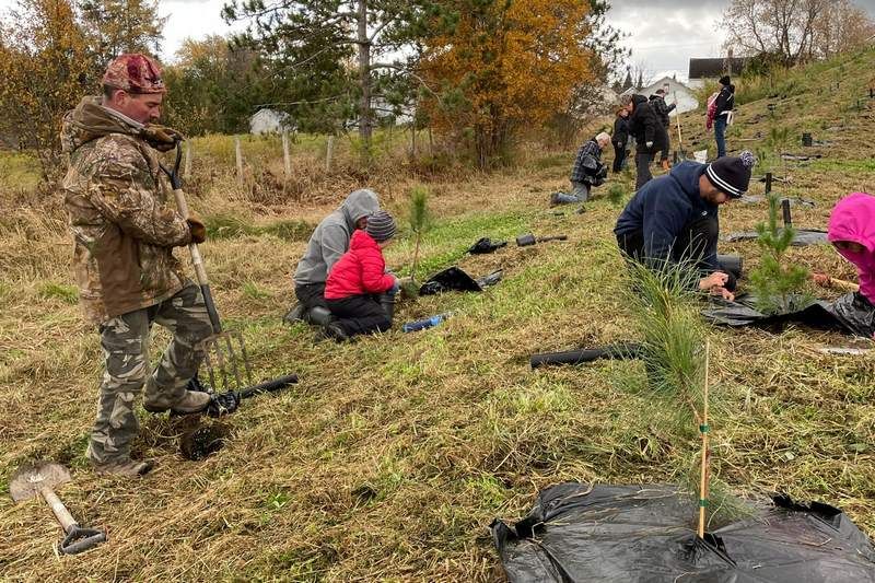 400 arbres et arbustes de plus à Saint-François-Xavier de Brompton